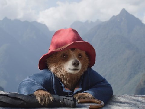 Paddington in Peru